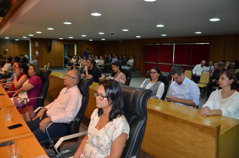 PaisagemHOMENAGEM DA ALEMA AO DIA DA DEFENSORIA PÚBLICA II